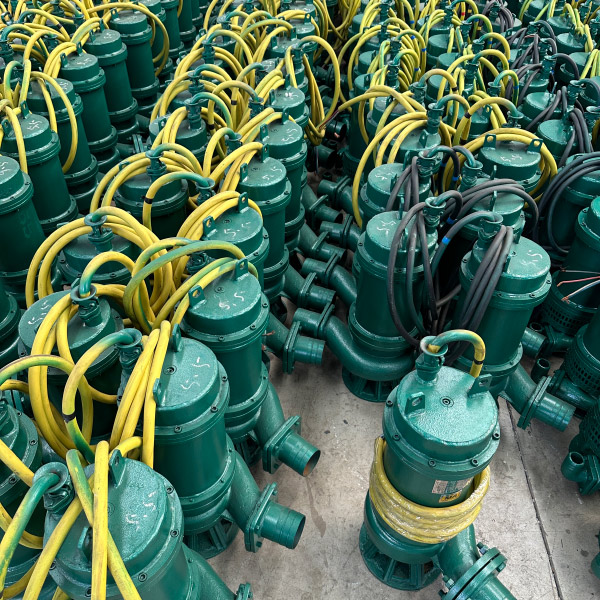 潛（qián）水排汙電泵生產廠家